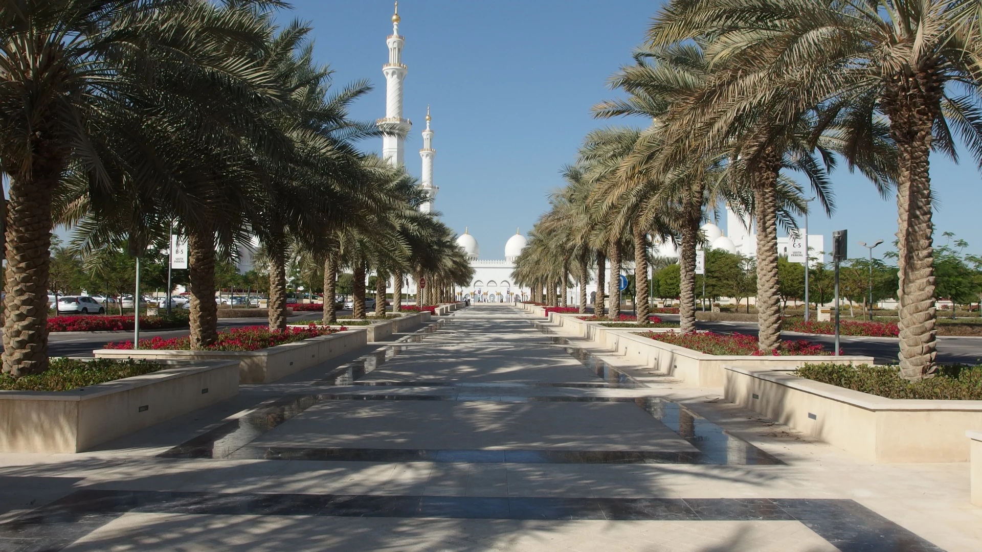 A palm-lined avenue leading toward the white minarets and domes of the Sheikh Zayed Grand Mosque in Abu Dhabi