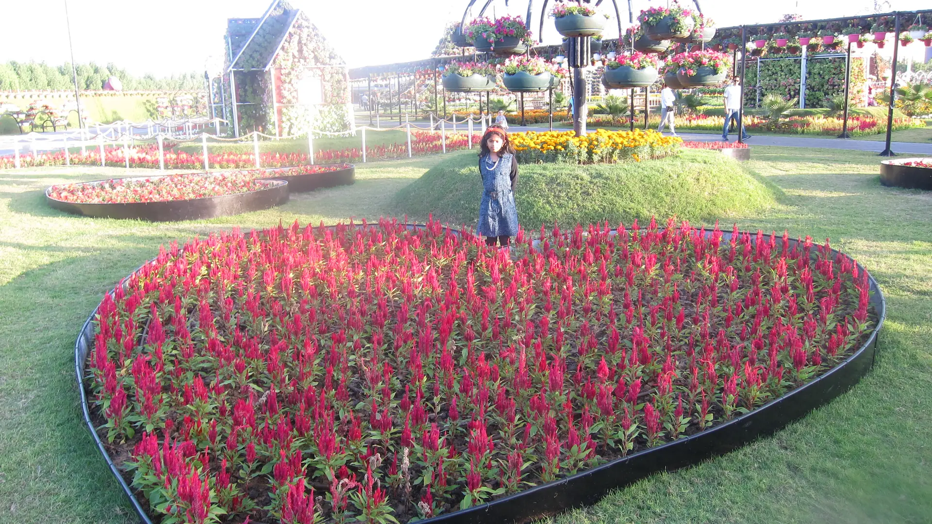 Flower beds, hanging planters and garden displays at Dubai Miracle Garden